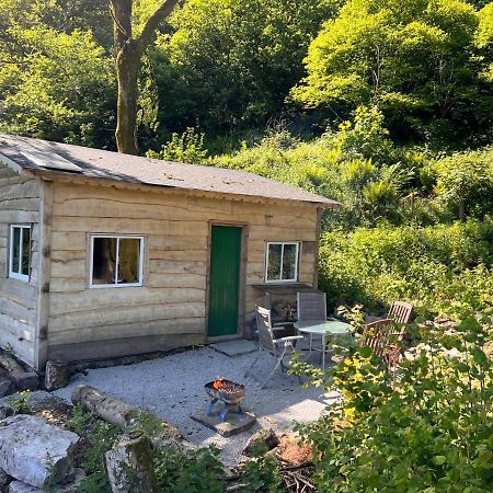 Foxglove Eco Lodge Llanelli Esterno foto