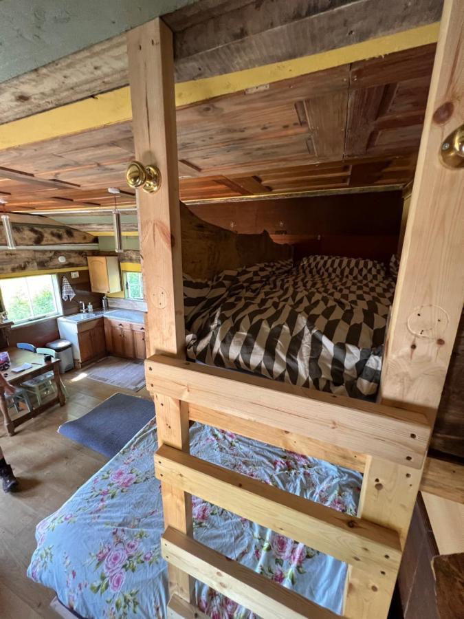 Foxglove Eco Lodge Llanelli Esterno foto