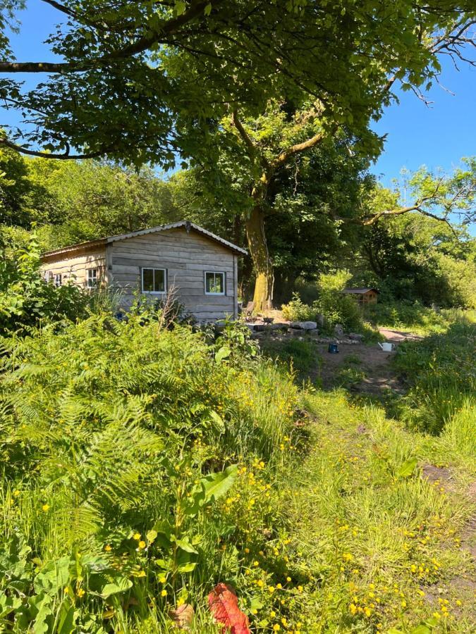 Foxglove Eco Lodge Llanelli Esterno foto